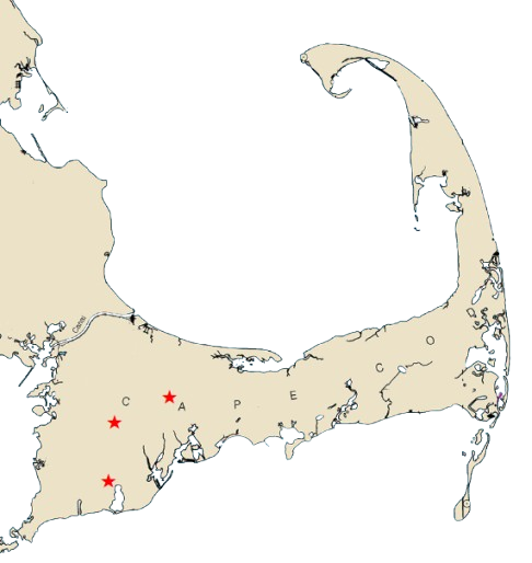 Accessible boating on Cape Cod