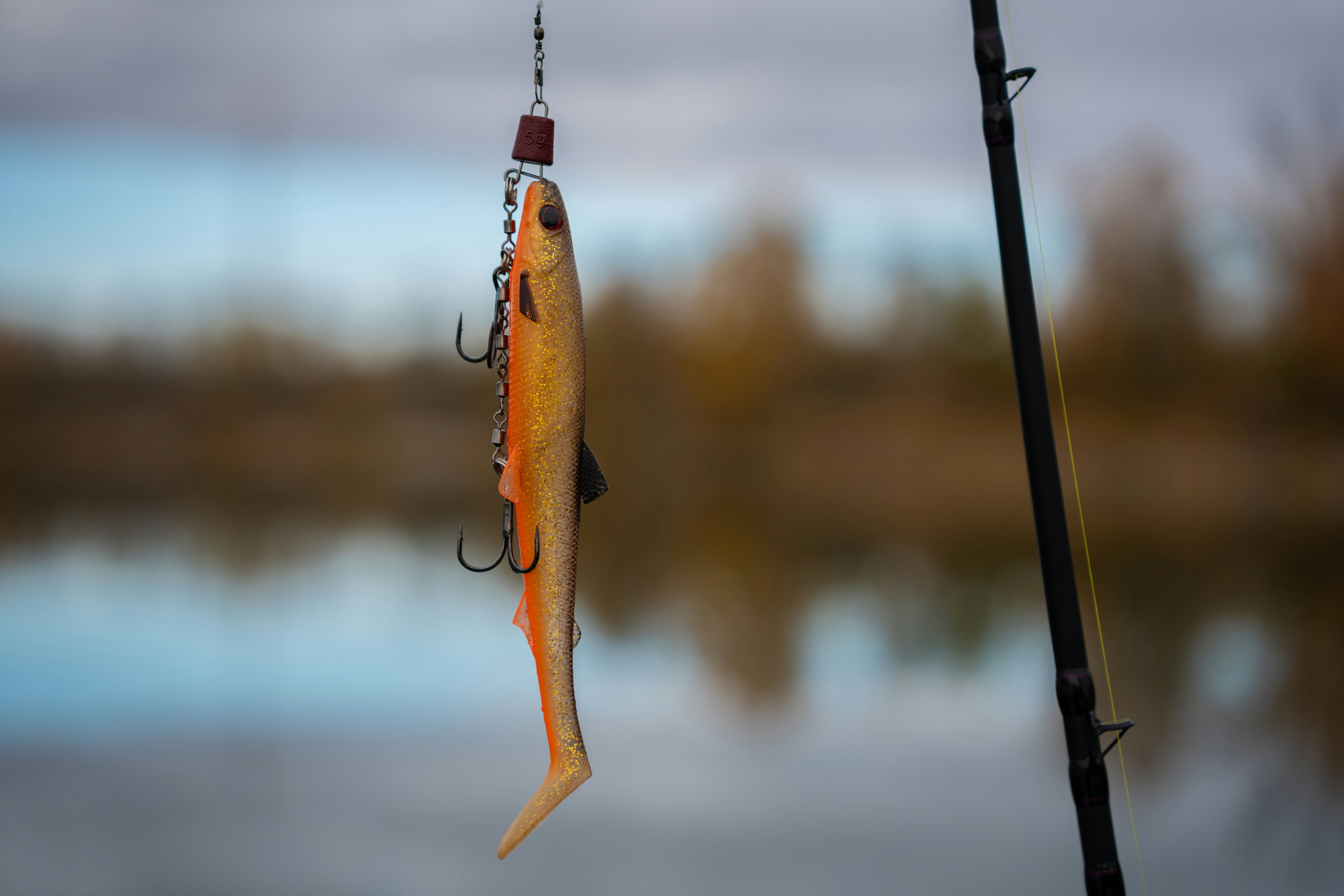 Freshwater Fishing