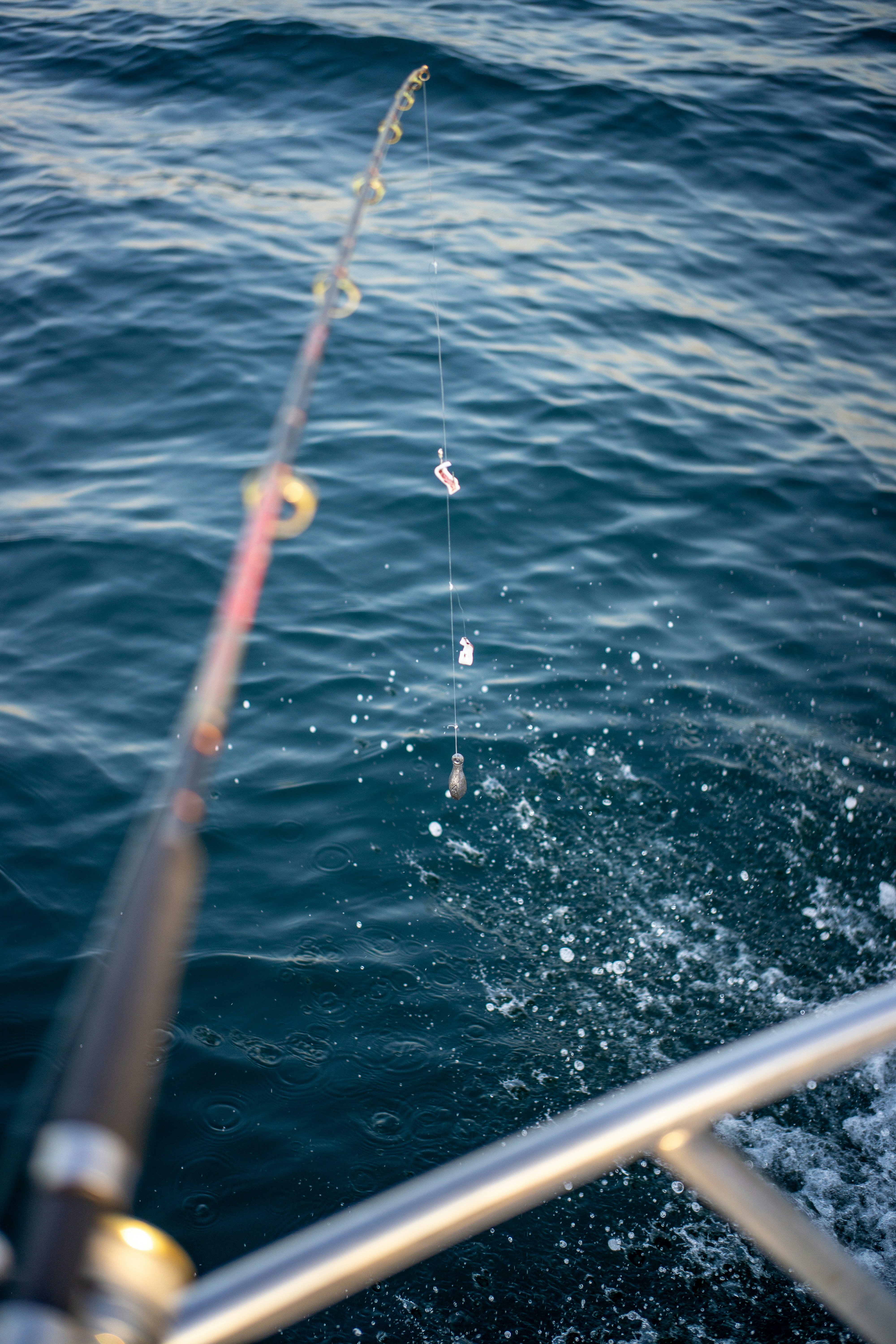 Saltwater Fishing